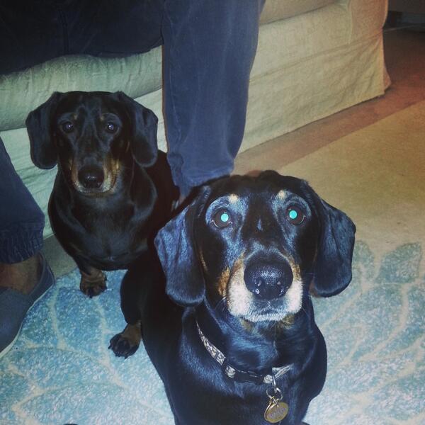 dudethedach's tweet photo. Me &amp; my brother Albert #bigbrother #sleepover http://t.co/Dn4NI3T7M1