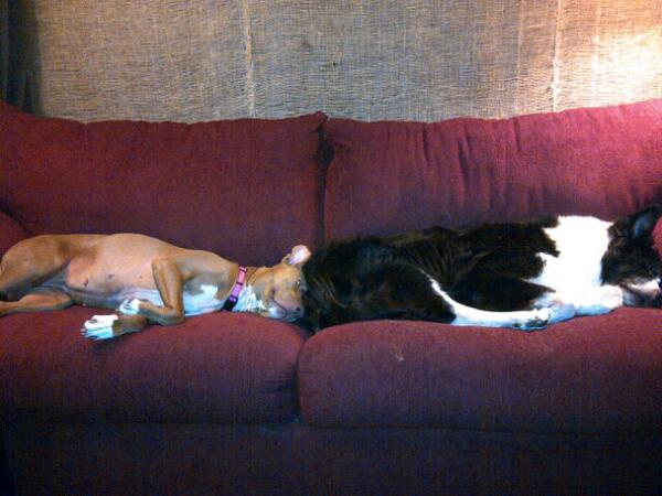 ScientistSound's tweet image. Chillin in the studio