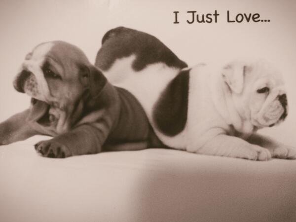 AngieAz35's tweet image. Me and you