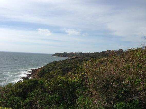 Mount Martha from the Esplanade. Tourists are out in force today. Did we skip spring this year? #mornpen