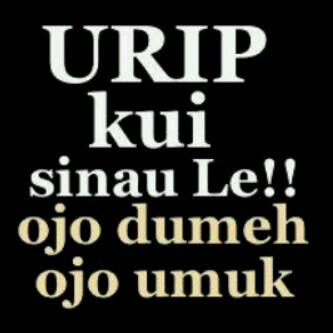 duniabaruMaya's tweet image. #javaquotes