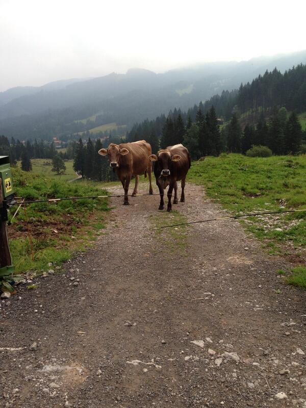 willstein's tweet photo. Went on an early #morning #power #hike. Was amazing. This is how it started. http://t.co/gK8yXedrzs