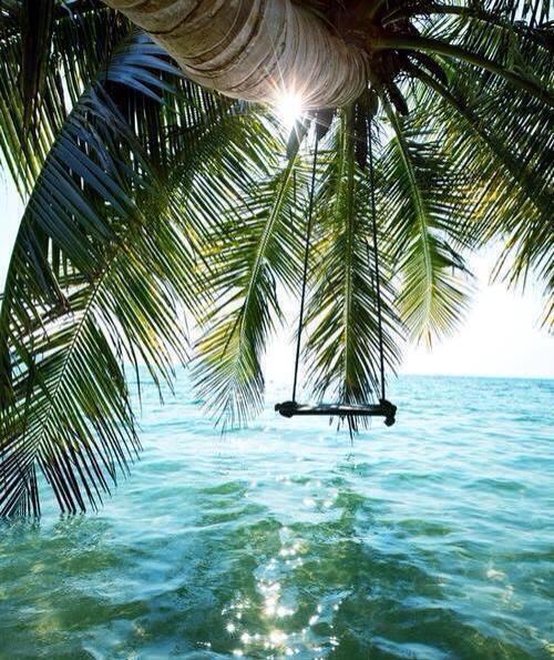 HelloVacay on Twitter "Sea Swing, The Bahamas http//t.co/it58bvp5GT