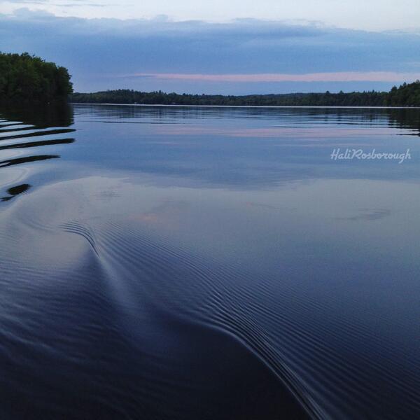 last evening canoeing on Harrison Lake 
#Halifax #adventuretillwedie #novascotia