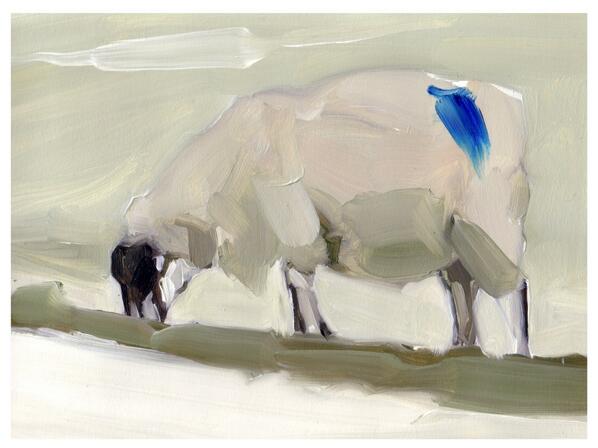 CabalvaFarm's tweet photo. Esther Tyson's eight oil paintings of sheep. http://t.co/9gX1pVYJym