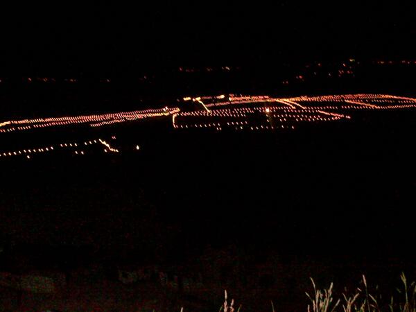 andyjdann's tweet image. Some of the 18klms  of festoon installed by the hardworking Midas team at #bestival