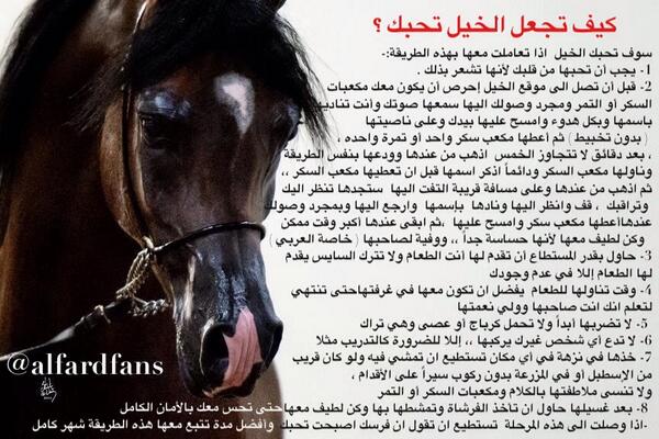 alfardfans's tweet photo. كيف تجعل الخيل تحبك ؟ http://t.co/5UFP62PElM