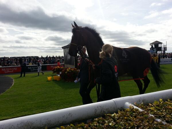casadaly's tweet image. Rizeena so regal ....#thecurragh #moyglare