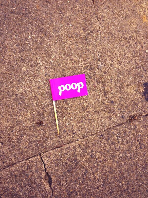 BetterBernal's tweet photo. Person w/ "poop" signs: these just add litter and make it hard for others to pick up! Cute idea. Not super helpful. http://t.co/05lpcXJ85z