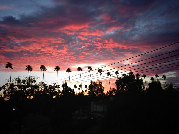 DaniellaMonet's tweet photo. I love ending my day with this. #enamored http://t.co/ArLCn5sjRr