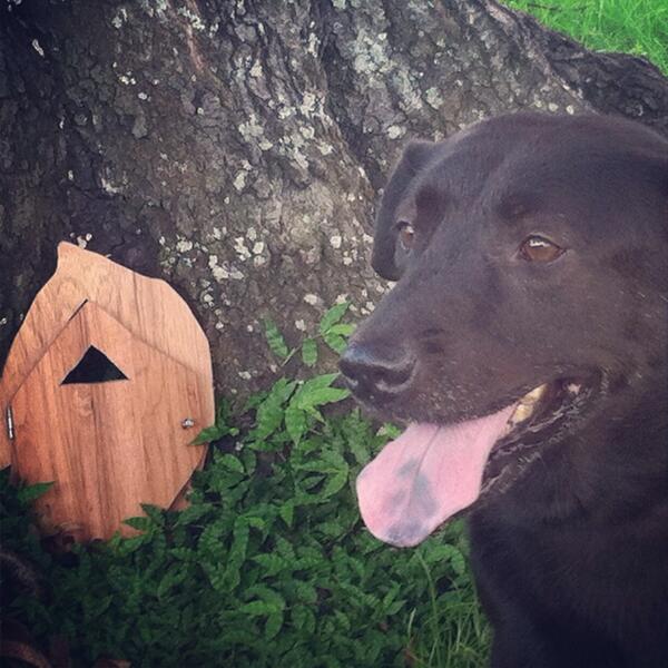 marina_lynn's tweet photo. Wishing she were an elf. #tampa #tinydoors @tinydoorproject http://t.co/1bixdj0iEc