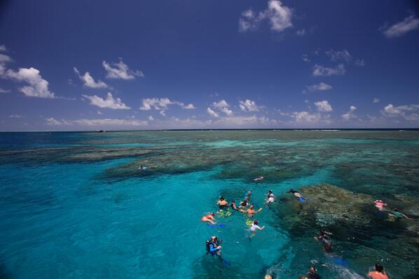 CalypsoDive's tweet photo. Would you like to be here right now? #OpalReef #greatbarrierreef @PortDouglas_Aus @CairnsGBR @Queensland @Australia http://t.co/3hHkXlDUqT