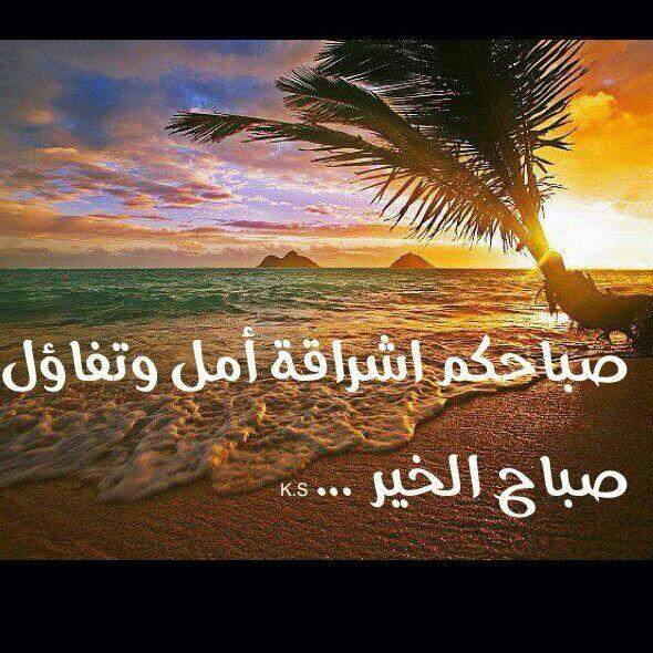 r7aal tweet media