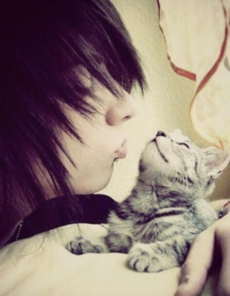 GodOfTheBroken's tweet photo. I like kittens http://t.co/FAqZDaCi0O