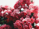 httpsabbey tweet picture