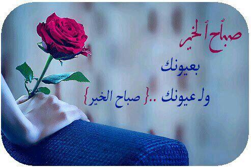 AAQYOFF's tweet photo. http://t.co/lmlHfoKNJO