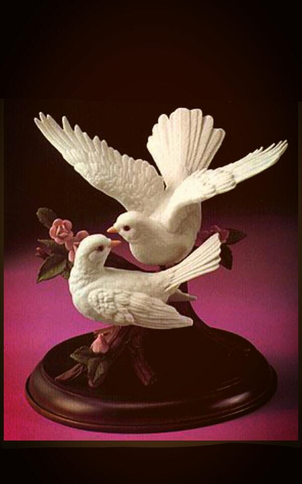 A3rat's tweet photo. http://t.co/4gilkBBsPk