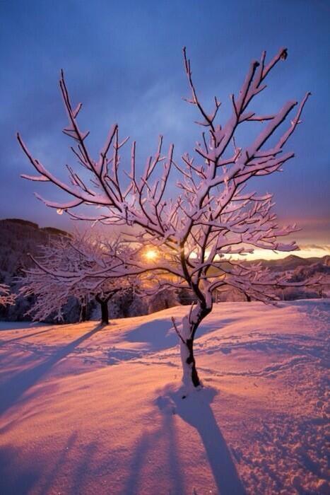 _Paisajes_'s tweet image. Puesta de sol. Invierno en los Alpes.