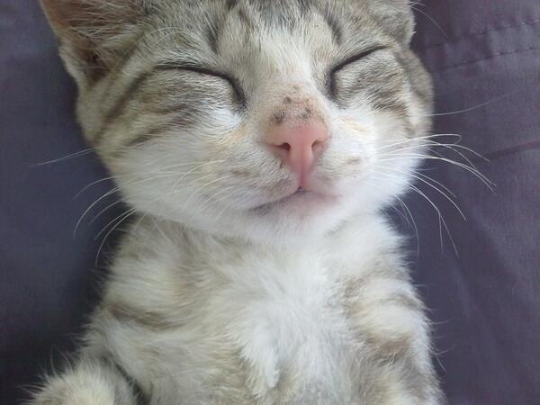 takerstone's tweet photo. :P http://t.co/nntn599Ub7