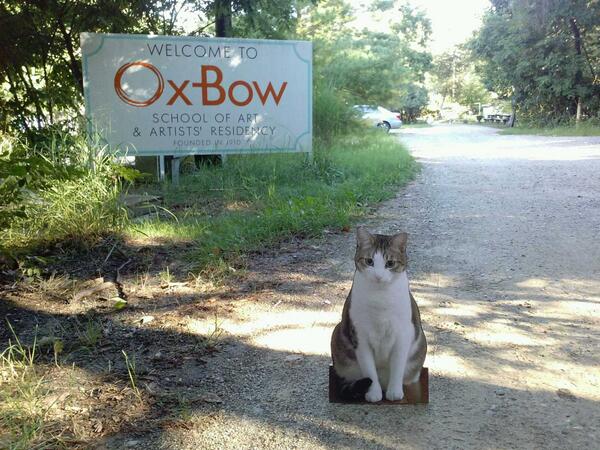 marsgallery's tweet photo. Peter Mars and Sammy are on an art making sabbatical at Ox Bow! http://t.co/mhGvgqW6js