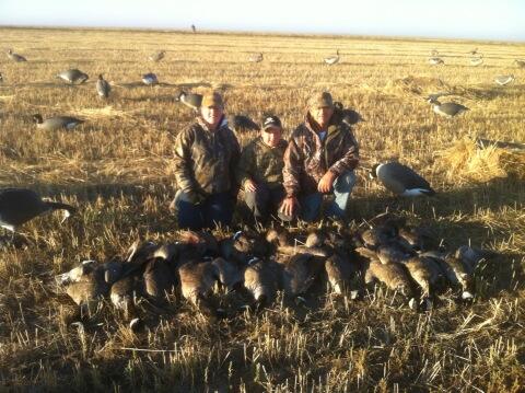 Best time of the year #harvest #honkers