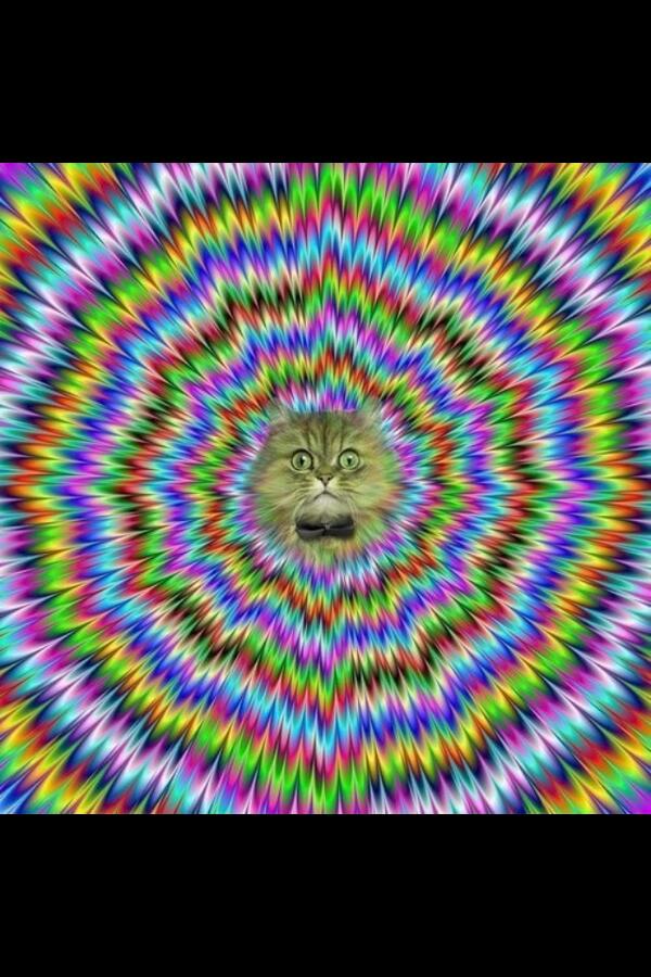 DO NOT LOOK AT THIS PICTURE.