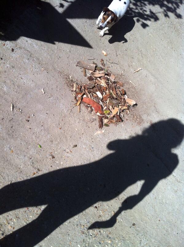 This mornings show was brought to you with the letters C.O.F.F.E. and E....