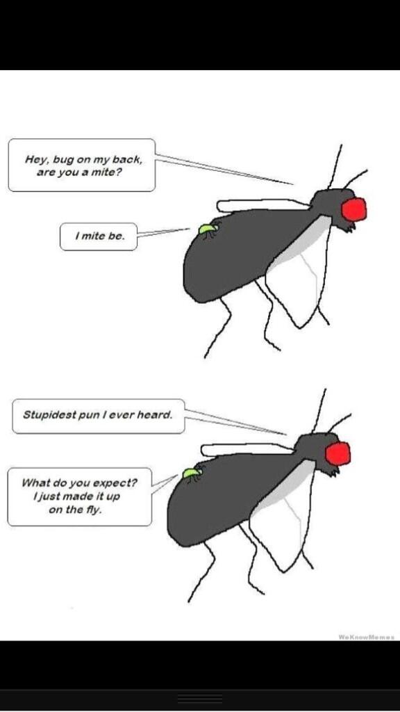 RED5_STANDBY's tweet image. This so reminds me of @BlawnDee #goodjokebro