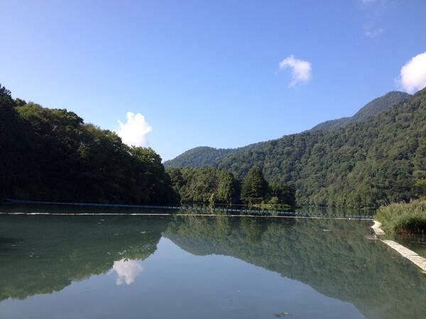 Tys181's tweet photo. http://t.co/3PzdWMi0fK