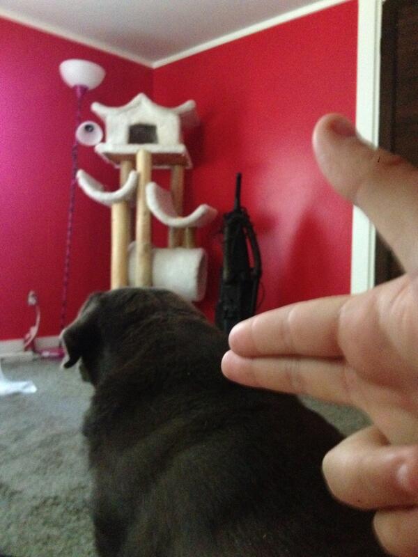 Mickalaaa's tweet photo. My dog licked my arm..... Should I do it? http://t.co/fHyDQjew5k