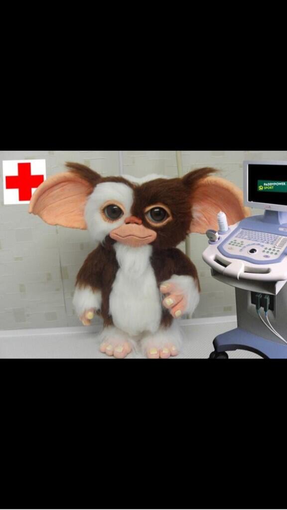 East_Billy's tweet photo. First picture emerges of Mesut Ozil's Arsenal medical http://t.co/faGrNJBNCe