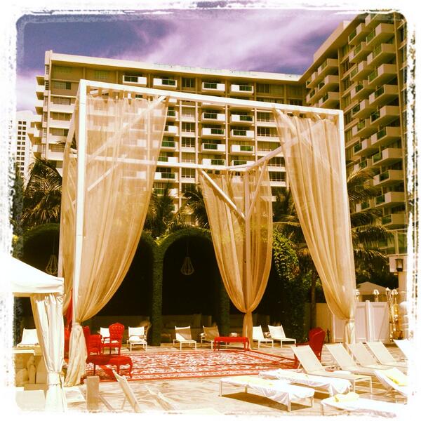 Eyal Tessler tweet media