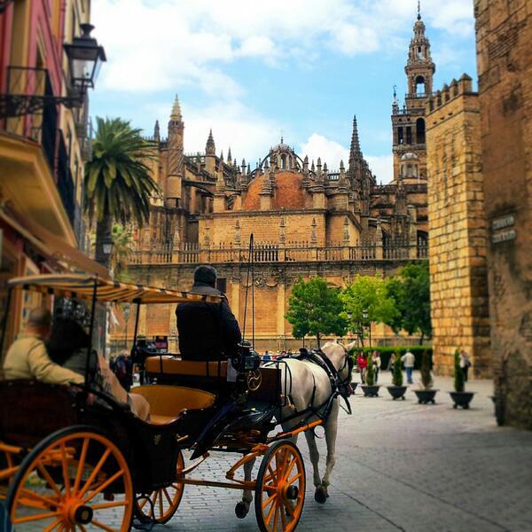A_alonsogonzal's tweet photo. Un coche de caballos con Catedral de Sevilla de fondo. Impresionante Foto de @Nuriachaa  http://t.co/F99aPBAiiR vía @fotosanonimas #sevilla