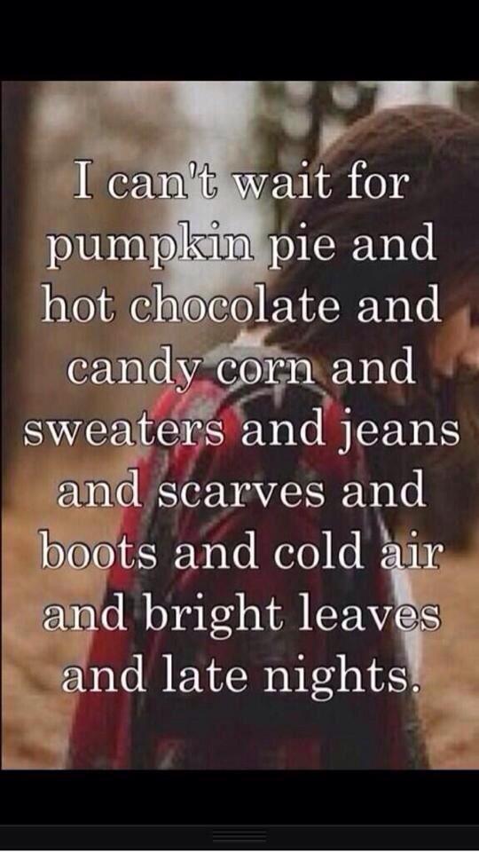 couldn't have said it better myself