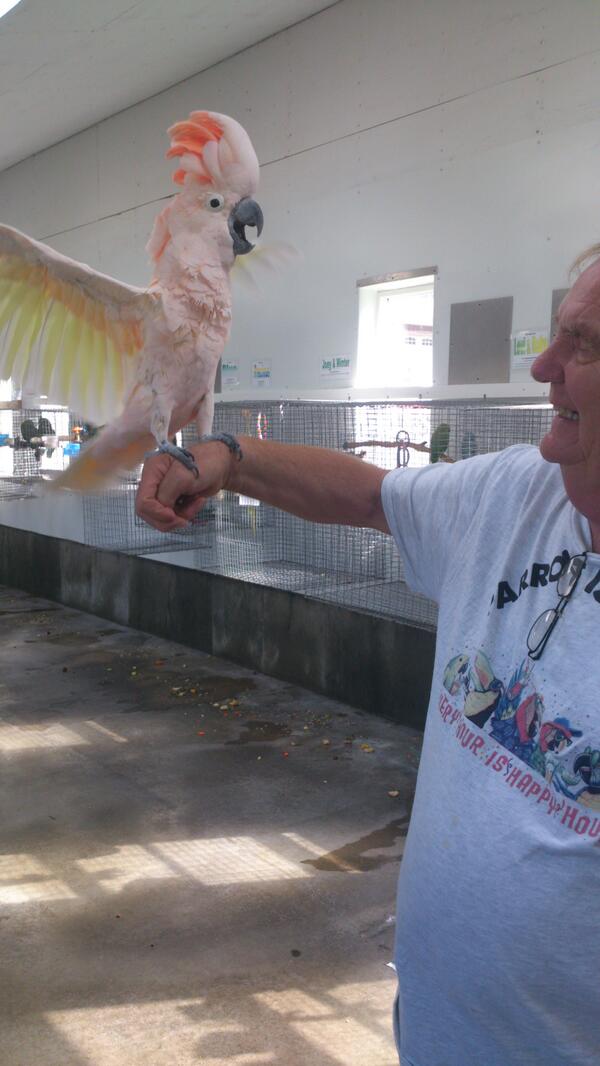 EZRockCruizer's tweet photo. Get on down to #Peachland and check out the #ParrotIslsndSanctuary #kelowna #okanagan #cockatoo #parrot http://t.co/V1npj3OB0Z