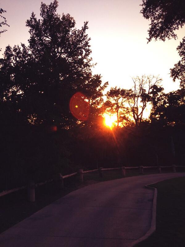 Lost pines 👌