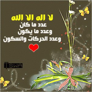 ssddf2 tweet picture