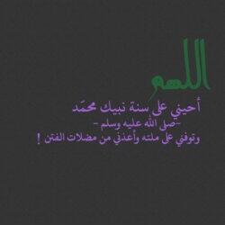 brk335gmail tweet picture