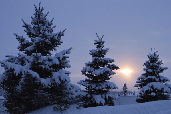 thebestofcache's tweet image. Im so excited for winter. :) #bestofcache