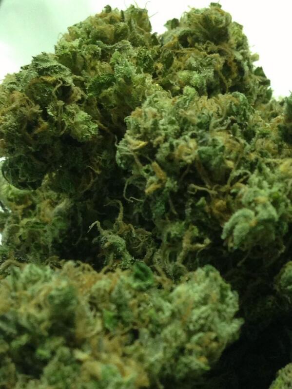othersidehm's tweet photo. Pineapple Express #sweet #420 #dank #loud #mmj http://t.co/BVQEPJI3dp