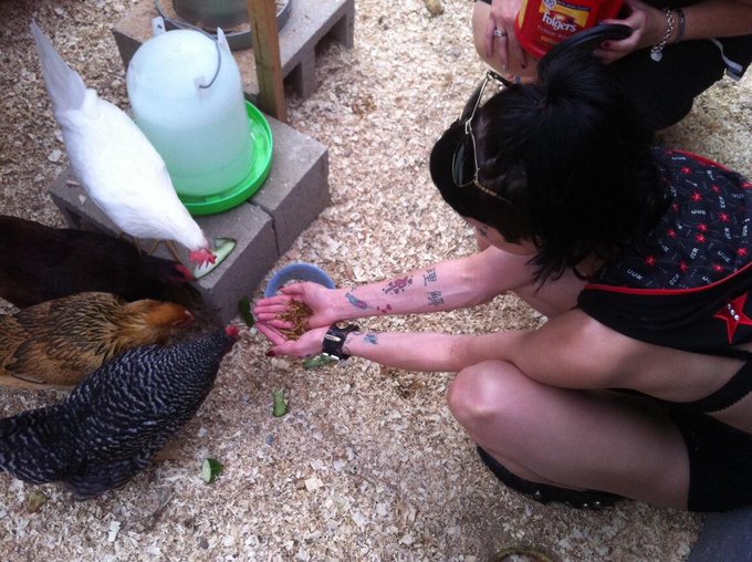 I am feeding CHICKENS right now! O.0 http://t.co/I7Z25LO4L7<a href="/tag/piggy"class="tags"><span>#piggy</span></a>