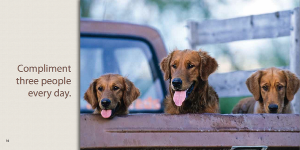 sslopianka's tweet image. What do #Dogs teach us about living a happy &amp;amp; rewarding life? // #WiseDogs // worthypublishing.com/books/Wise-Dog… //