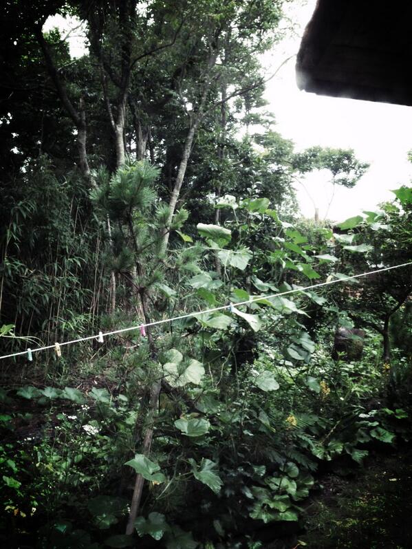 그래요. 
  가을이네요.
      누군가 독서하기 좋은 계절이라던.

하지만 글이 안들어오고 춥고 비오는 한라산 동네. 생각하기 좋은 태풍 도라지 오는날.