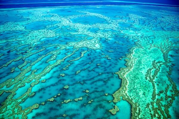 SLRPhotoGuide's tweet image. The Great Barrier Reef. Under threat due to coal port expansions, dredging and increased shipping.
