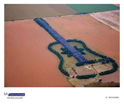 MyDocumate's tweet image. #吉他森林#阿根廷的潘帕斯建造了這麼一個吉他森林，種植者是當地的一個農民 Pedro Martin Ureta，現在71歲，這是他和他的四個孩子努力種出的。這是一把可以用雙腳測量的吉他哦！mydocumate.com