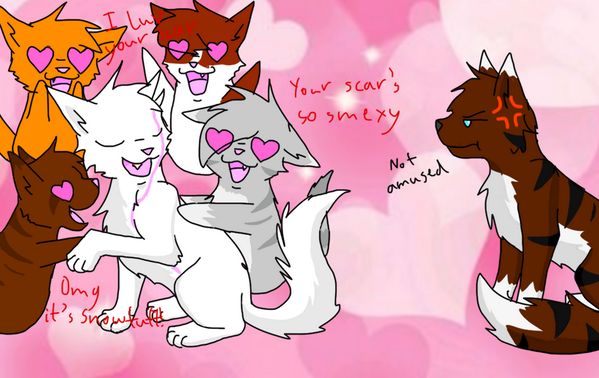 DforestSnow's tweet image. Haha oh yea that's right tigerstar @Tigerstar_