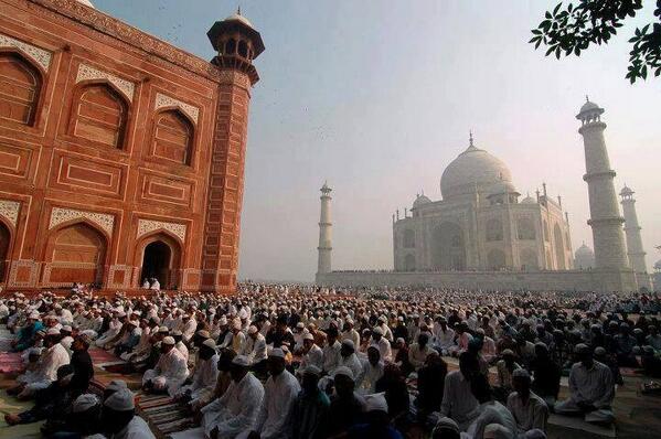 PostMosque tweet picture
