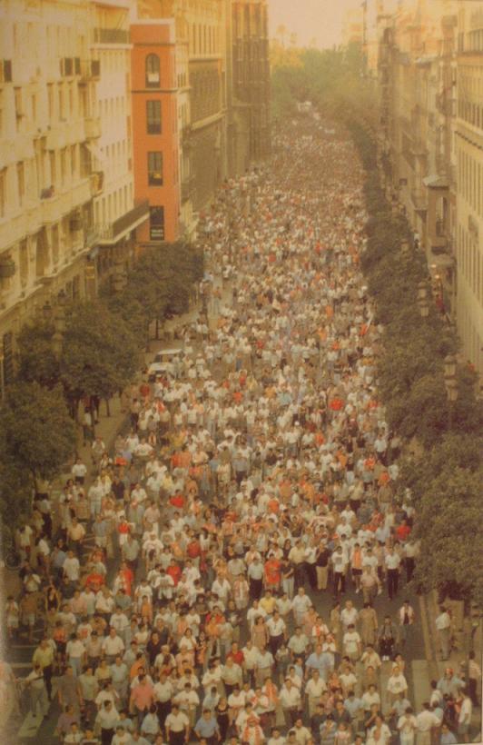 Somossf's tweet photo. - Papá , ¿por qué la afición del Sevilla es la mejor? ¿Por celebrar por todo lo alto los titulos?
- No, por esto http://t.co/3ILjTTuOv3