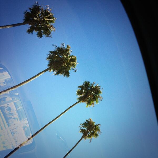 keatonstromberg tweet picture