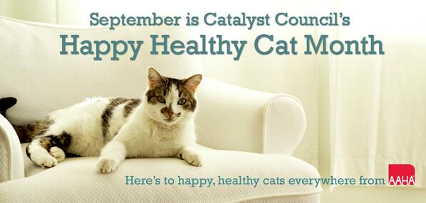 AAHAHealthyPet's tweet photo. September is @CatalystCouncil's #HappyHealthyCatMonth! http://t.co/MfT0dRFRQF